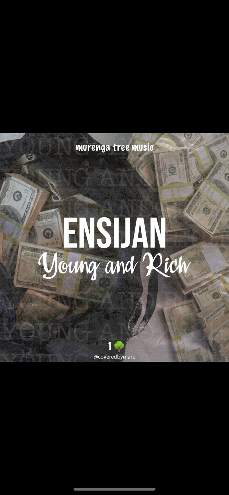 Ensijan drops Young and Rich